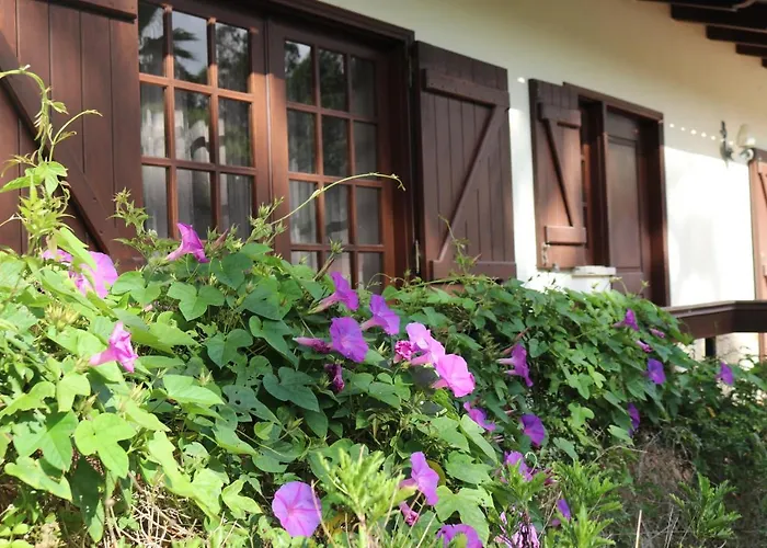 A Quinta Duna 펜션 Salir de Porto