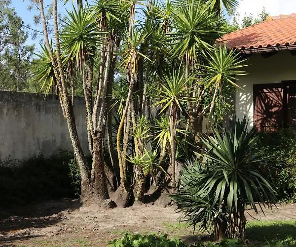 A Quinta Duna 펜션 *